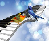 Avatar de l’utilisateur