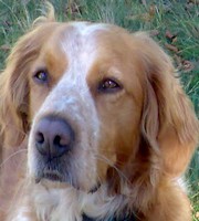 Avatar de l’utilisateur