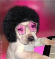 Avatar de l’utilisateur