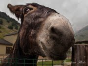 Avatar de l’utilisateur